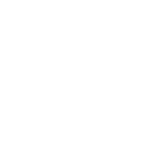 C4 Web